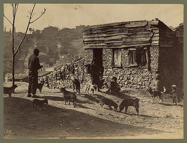 [Men, children, and dogs in front of a building, probably in Istanbul]
