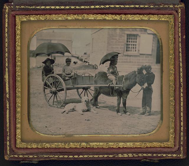 [Children of Lt. Montgomery C. Meigs, in donkey cart with dog, probably Mary Montgomery, Charles, Montgomery, and John Rodgers]