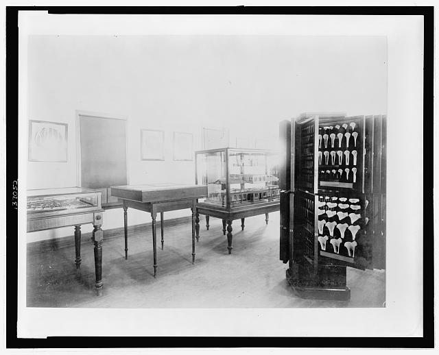 [Display showing model hospitals(?) and a display of bones, probably by the U.S. Surgeon General, at the Chicago's World's Columbian Exhibition]