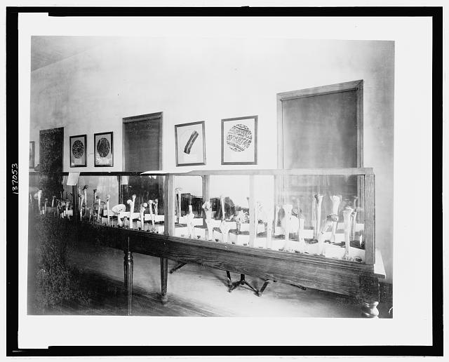[Display of human bones, probably by the U.S. Surgeon General, at the Chicago's World's Columbian Exhibition]