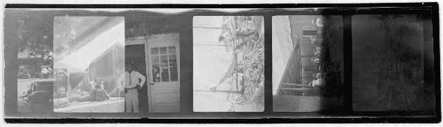 [Six photos featuring groups of men, probably from Bahamas  expedition, 1935]