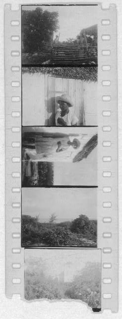 [Portraits of people and landscapes, probably from Georgia, Florida and Bahamas expedition, 1935]