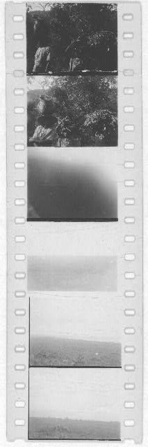 [Miscellaneous photos of people and seascapes, probably from the Georgia, Florida, and Bahamas expedition, 1935]