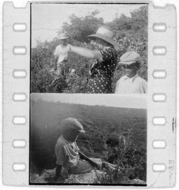 [Mary Elizabeth Barnicle (first frame) and other unidentified people, probably from Georgia, Florida and Bahamas expedition, 1935]