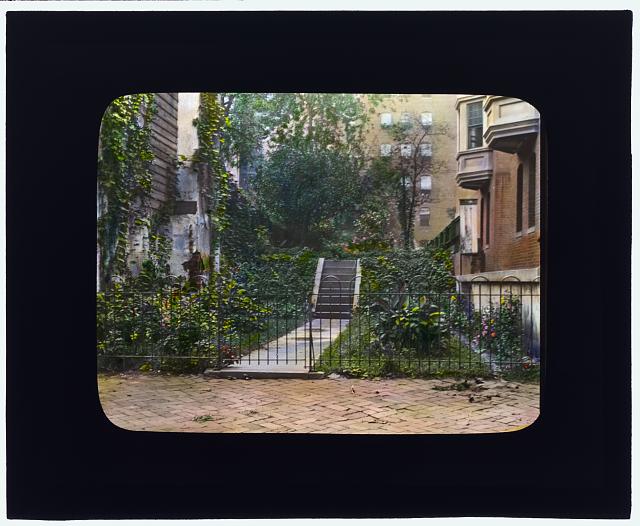 [Unidentified city garden, probably New York, New York. Stairway]
