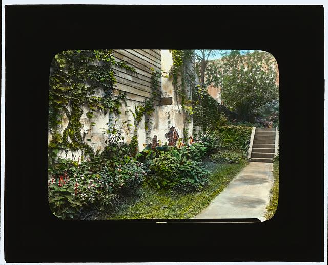 [Unidentified city garden, probably New York, New York. Steps]