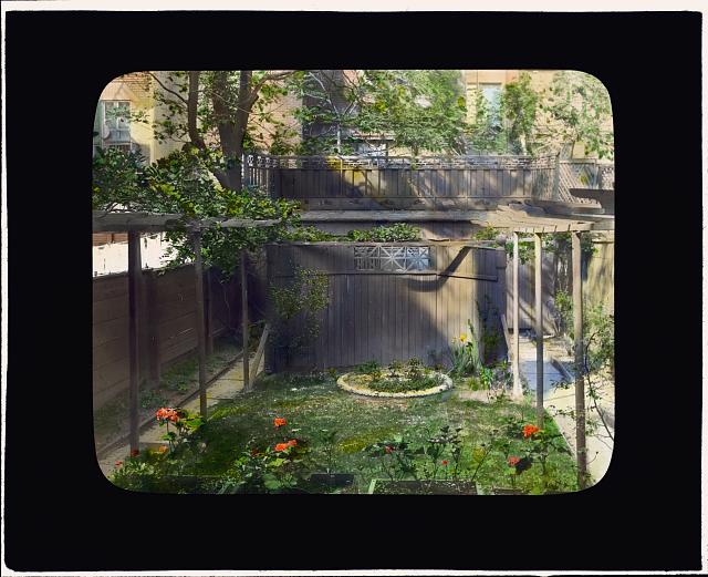 [Unidentifed back yard garden, probably in New York, New York. Pergola]