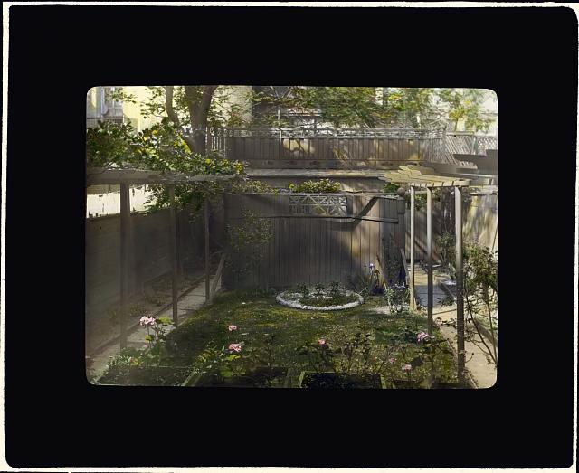 [Unidentified backyard garden, probably in New York, New York. Pergola]