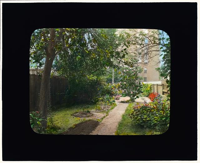 [Unidentified city garden, probably in New York, New York. Pathway]