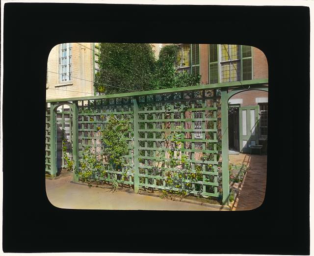 [Unidentified townhouse garden, probably in New York, New York. Lattice fence]