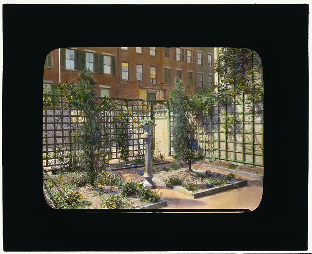 [Unidentified townhouse garden, probably in New York, New York, or Philadelphia, Pennsylvania. Lattice fence]