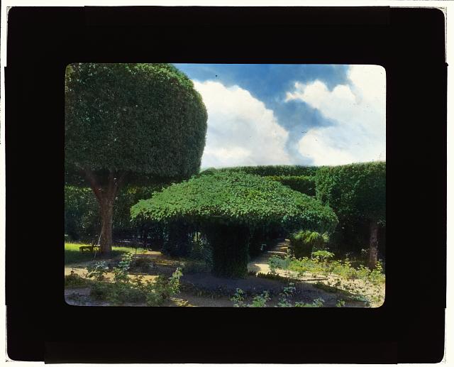 [Unidentified house, probably Italy. Topiary]