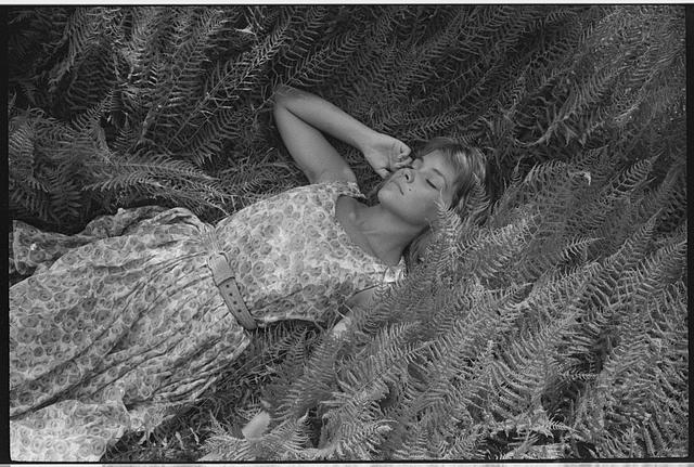 [Woman, probably a fashion model, lying on ferns on ground]