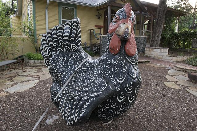 We're not quite sure how to describe this oversized outdoor chicken in eclectic South Austin, a neighborhood of Austin, Texas. It is true that, for reasons not fully known, large-chicken art is popular across Texas. But maybe not this large