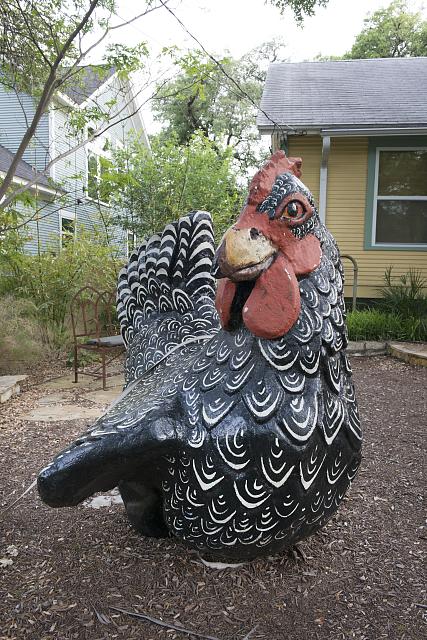 We're not quite sure how to describe this oversized outdoor chicken in eclectic South Austin, a neighborhood of Austin, Texas. It is true that, for reasons not fully known, large-chicken art is popular across Texas. But maybe not this large