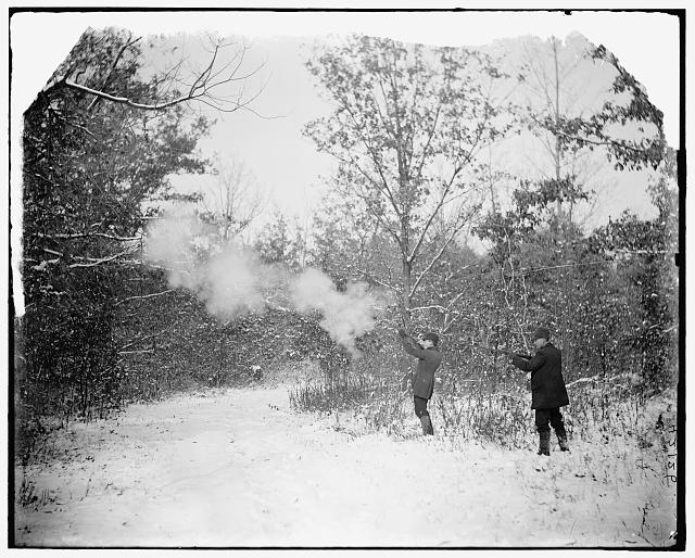 [Hunters shooting, probably for birds]