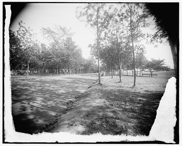 [Road, probably in Bois Blanc Park, Bois Blanc Island]