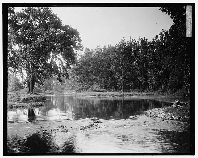 [River, probably the Huron River, Ypsilanti, Michigan]