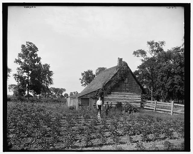 [Log cabin, probably Rio Vista, Grosse Ile, Mich.]