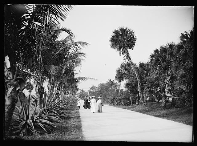 [Women on walk, probably Palm Beach, Fla.]