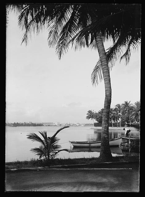 [Waterfront with palm, probably Fla.]