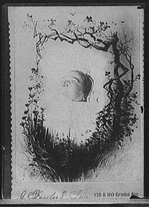 [Head of a man framed by foliage, probably a post-mortem portrait]
