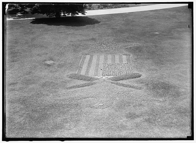 [Garden plant design information showing an eagle above a shield with flag, and a large star, probably in Washington, D.C.]