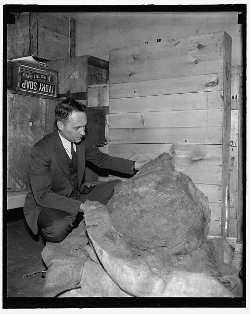 A fragment of largest shooting star placed in Smithsonian Institution. Washington, D.C., April 4. This 2,000 pound meteorite, probably a fragment of one of the largest shooting stars which have struck the earth, has been added to the meteorite collection of the Smithsonian Institution. It was found in 1903 near the town of Pearcedale, not far from Melbourne, Australia, the general area of the Cranbourne Meteorite which was discovered in 1854. E.P. Henderson, of the Smithsonian Institution, is pictured inspecting the huge mass, 4-4-39