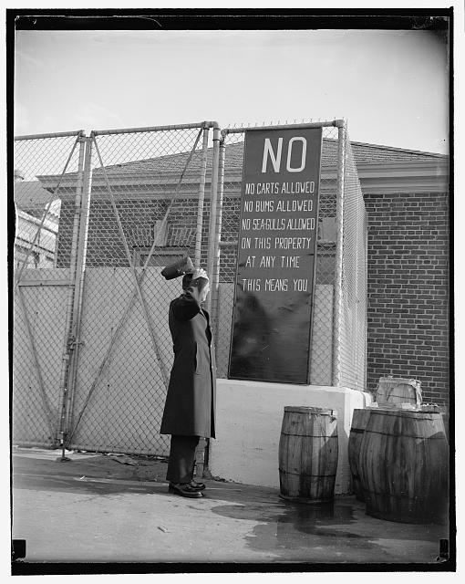 What's a fellow to do?' Washington, D.C., Nov. 8. A policeman whose beat is on Washington's waterfront seems puzzled over how he is going to enforce the restrictions in the sign, especially as applied to seagulls. Maybe the seagulls don't read or believe in signs