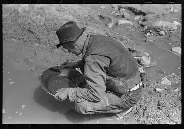 Prospector panning gold. The light objects are probably not gold as it is very unusual to find pieces this large in this section. They are probably mica (fools gold) or mercury which is used to attract the gold. Pinos Altos, New Mexico