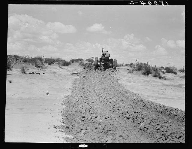 Leveling hummocks in dust bowl, thirty miles north of Dalhart, Texas. Farmer: "Every dime I got is tied up right here. If I don't get it out, I've got to drive off and leave it. Where would I go and what would I do? I know what the land did once for me, maybe it will do it again." Son: "It would be better if the sod had never been broke. My father's broke plenty of it. Could I get a job in California?"