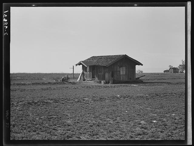 On the plains west of Fresno, California. Family of seven from Oregon dairy ranch which they lost. "We tried to get too big, I guess. Milk cans are all that's left of the dairy. Now pick bolls to make fifty cents to one dollar a day. We can't work every day or maybe we could get by." Rent for house without water or sanitation -six dollars per month. Plan next to pick fruit. "They say if you come to California, you always come back, but I'm willing to leave it."