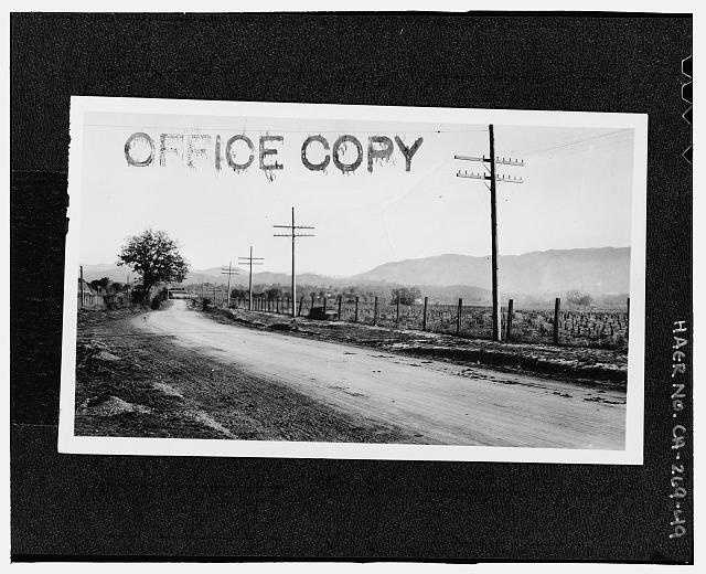 49.  Photographer unknown MENDOCINO COUNTY, PROBABLY SECTION D, HIGHWAY 1. NO CAPTION. Stamped office copy. - Redwood National & State Parks Roads, California coast from Crescent City to Trinidad, Crescent City, Del Norte County, CA