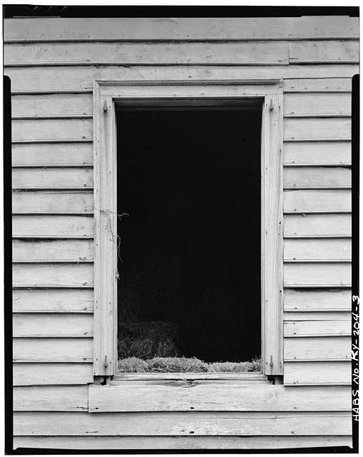3.  DETAIL OF WEST WINDOW OF SOUTH FRONT OF ORIGINAL SECTION. NOTE FRAME AND SHUUTER HARDWARE. Original sash probably double-hung. - Thomas Threlkeld House, Benson Pike, Shelbyville, Shelby County, KY